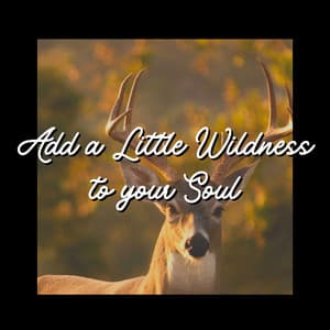 Add a Little Wildness to Your Soul - Mother Nature Recordings