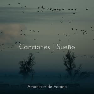 Canciones | Sueño - Sons da Natureza