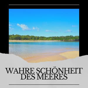 Wahre Schönheit des Meeres - Meeresgeräusche