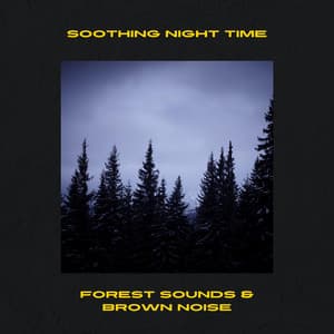 Soothing Night Time Forest Sounds & Brown Noise, Loopable - Night Nature Sounds