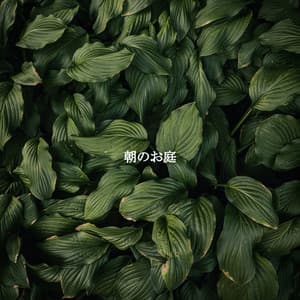 朝のお庭 - Chillout Jazz Deluxe