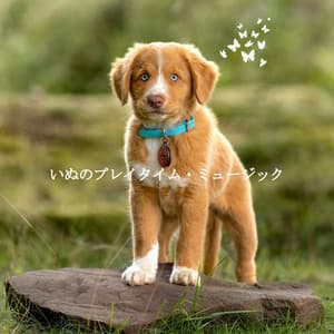 いぬのプレイタイム・ミュージック - Jazz Rilassante Retro