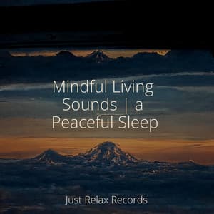 Mindful Living Sounds | a Peaceful Sleep - Anxiety Relief