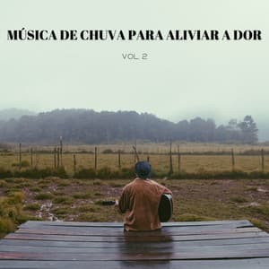 Música De Chuva Para Aliviar A Dor Vol. 2 - Música de Relaxamento No Spa