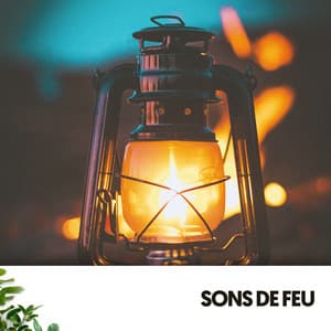 Sons de Feu : Embrasser les Flammes de la Transformation - Cat Music