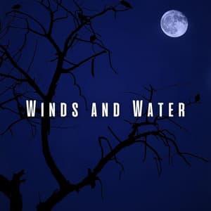 Winds and Water: Sleep Soundscapes with Light Rain and Birds - Rivers and Streams