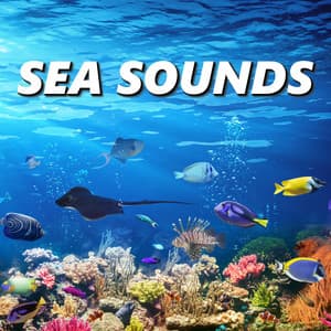 Sea Sounds - Sea Sounds
