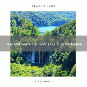 Peaceful Sea Water Songs For True Meditation - Instant Relax