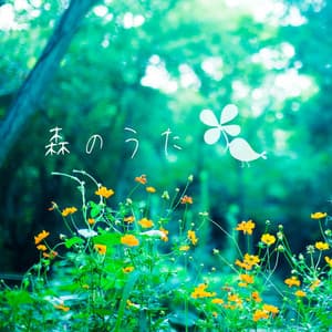 Songs of the forest - Natural Healing