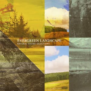 Evergreen Landscape - Natural Sound Selections