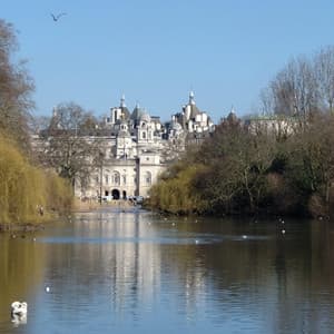 Solo in Tokyo - Cozy Coffee Shop