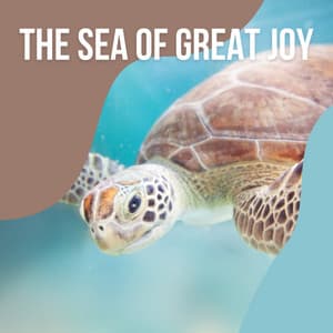 1 The Sea of Great Joy vol. 3 - Ocean Sleep Sounds