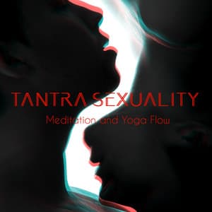 Tantra Sexuality Meditation and Yoga Flow Sequence of Two Soul Connection - Sensual Music Academy