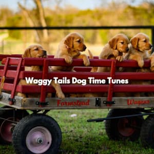 Waggy Tails Dog Time Tunes - Dog Jazz Songs