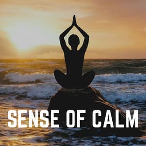 Sense of Calm - Transcendental Meditation