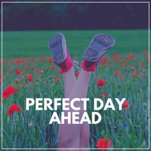 Perfect Day Ahead - Meditation Music