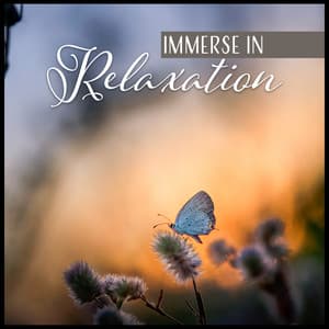 Immerse in Relaxation - Zen Relaxation Academy