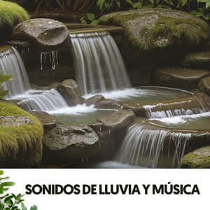 Sonidos de Lluvia y música: Melodías del cielo - Relajacion