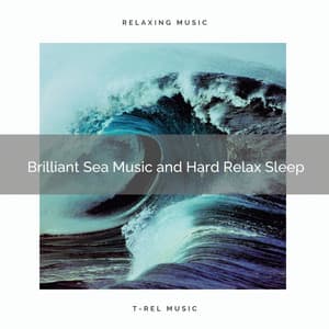 2020 Best: Brilliant Sea Music and Hard Relax Sleep - Ocean Sounds Plus