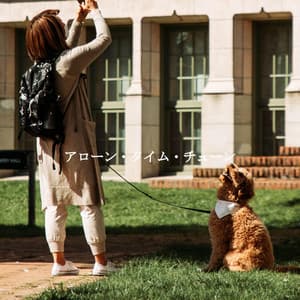 アローン・タイム・チューン - Soft Jazz Cafe