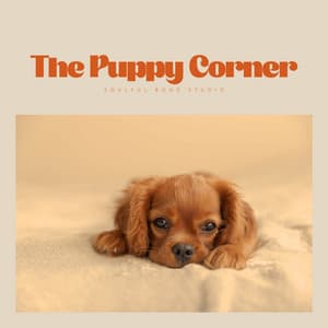 The Puppy Corner - Relaxing Music for Dogs