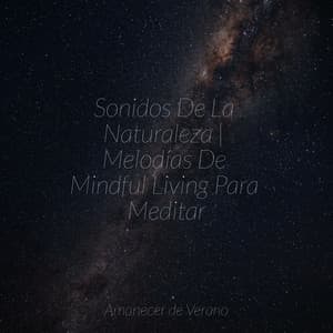 Sonidos De La Naturaleza | Melodías De Mindful Living Para Meditar - PowerThoughts Meditation Club