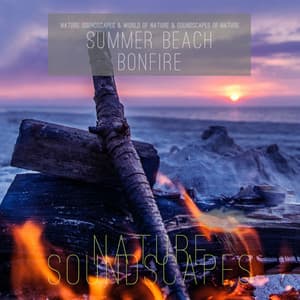 Summer Beach Bonfire - Nature Soundscapes
