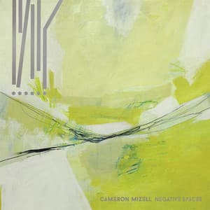 Negative Spaces - Cameron Mizell