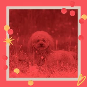 Music for Doggy Wellness - Dog Jazz Music