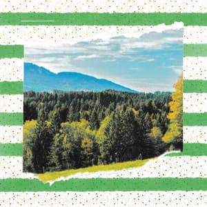 Backdrop for Sunny Sunday - Charming Jazz Quintet - Dinner Music Classics