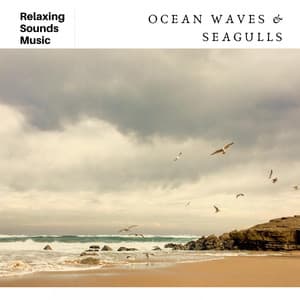 Soothing Ocean Waves & Seagulls - Ocean Waves Radiance
