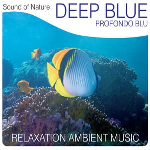 Deep Blue - Sound of Nature Band