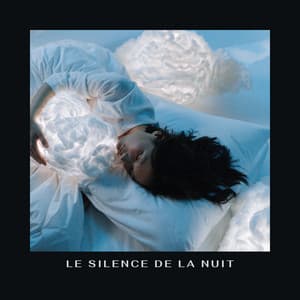 Le Silence De La Nuit - Le Sommeil