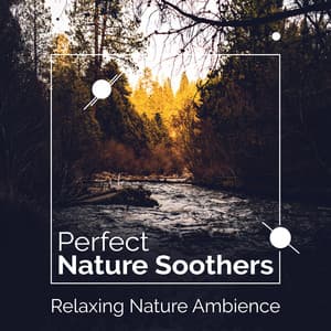 Perfect Nature Soothers - Relaxing Nature Ambience