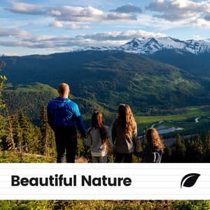 Beautiful Nature - Natures Orchestra