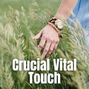 Crucial Vital Touch - Relaxing Meditation Songs Divine