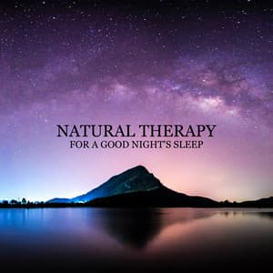 Natural Therapy for a Good Night's Sleep. Music to Help You Relax and Forget about Problems. Blissful Time - Deep Sleep Music Zone