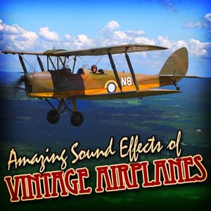Amazing Sound Effects of Vintage Airplanes - Sound FX