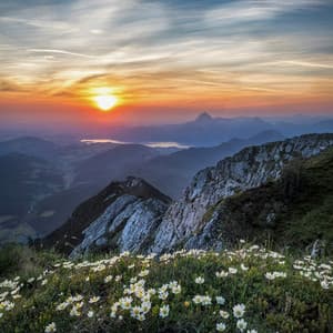 1 Ambient: Peaceful Pathways - Baltic Nature Sounds