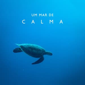 Um Mar de Calma: Meditação para Dormir, Silêncio, Equilíbrio - Relaxantes Natureza Zona