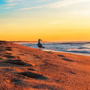 Sunset Balearica - DJ Good Feelin'