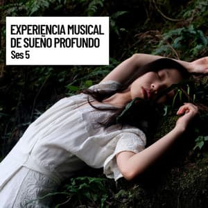 Experiencia musical de sue–o profundo, Musica Relajante - Naturaleza Sonidos