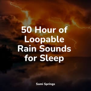50 Hour of Loopable Rain Sounds for Sleep - Exam Study Classical Music