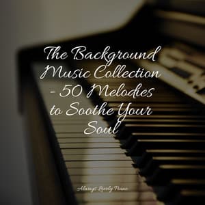 The Most Beautiful Sounds - 50 Soothing Piano Melodies - Relaxing Piano Jazz Music Ensemble