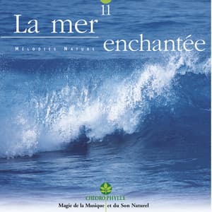 Chlorophylle 11 : La mer enchantée - Relaxing Zen Nature