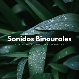 Sonidos Binaurales Con Melodías Lluviosas Tranquilas - Grabaciones binaurales ritmos