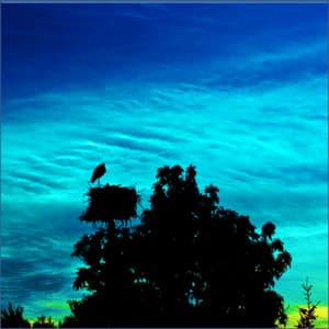 White Noise, Brown Noise, Appliances, Water and other Audio - Sleep Relaxation