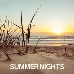 Summer Nights - Chillout Music Lounge