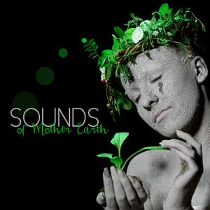 Sounds of Mother Earth - Heaven on Earth Instrumental Universe