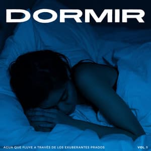 Dormir: Agua Que Fluye A Través De Los Exuberantes Prados Vol. 1 - Sonidos de la Naturaleza para Dormir